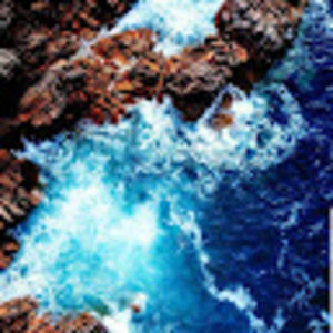 Meet your Posher, Reid